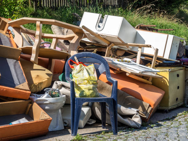 Best Electronics Removal Services  in La Vista, NE