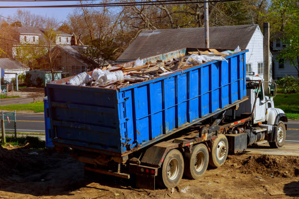 Best Junk Hauling Services  in La Vista, NE