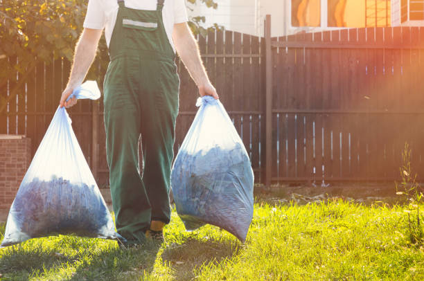 Best Household Junk Removal  in La Vista, NE