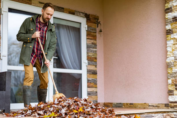 Best Yard Cleanup Services  in La Vista, NE