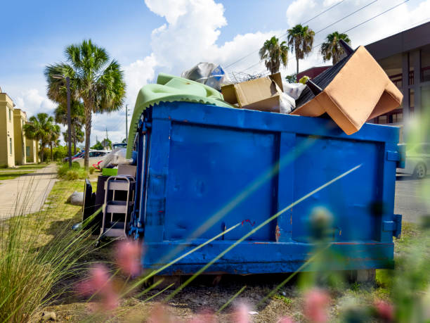 Best Attic Cleanout Services  in La Vista, NE